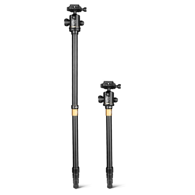 Soporte monopié para trípode de aleación de aluminio con patas plegables portátiles de 4 secciones Q222 con cabezales de bola