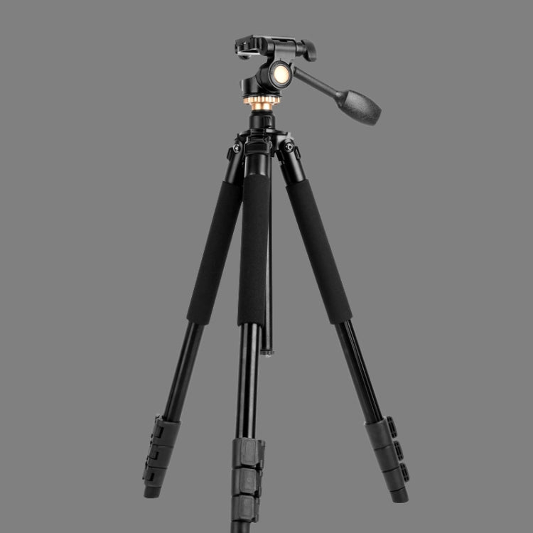 Q338 Patas plegables de 4 secciones Transmisión en vivo Soporte de trípode de aleación de aluminio, Q338With Three-dimensional Head, Q338 With Ball Head