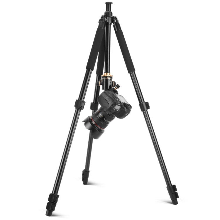 Q338 Patas plegables de 4 secciones Transmisión en vivo Soporte de trípode de aleación de aluminio, Q338With Three-dimensional Head, Q338 With Ball Head