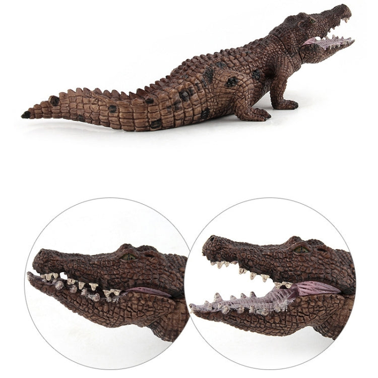 Simulación de cocodrilo modelo PVC Animal salvaje decoración estática juguete, LX829, PL127-888, PL127-923, 3 PCS / Set