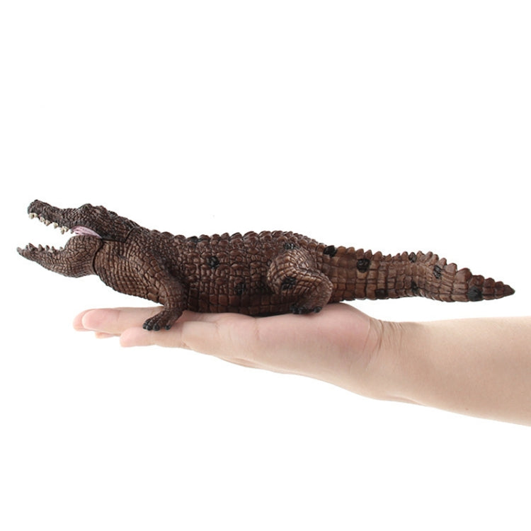 Simulación de cocodrilo modelo PVC Animal salvaje decoración estática juguete, LX829, PL127-888, PL127-923, 3 PCS / Set