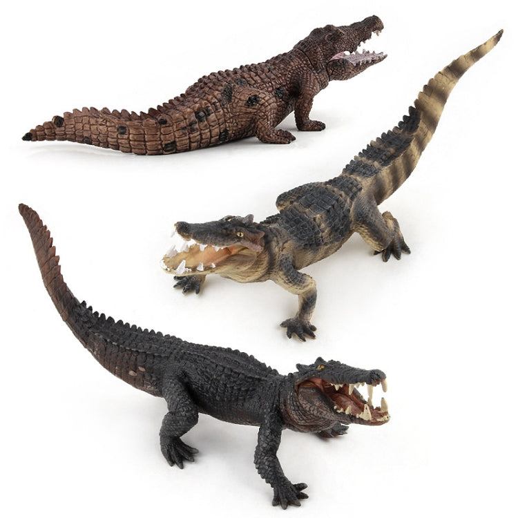 Simulación de cocodrilo modelo PVC Animal salvaje decoración estática juguete, LX829, PL127-888, PL127-923, 3 PCS / Set
