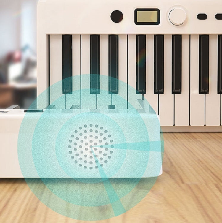 Wersi Teclado de piano electrónico portátil plegable de 88 teclas para principiantes que practican piano, enchufe CN, USB White, USB Black