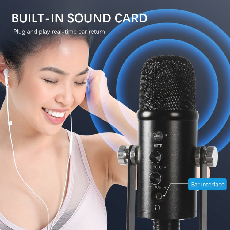 BM-86 Micrófono de condensador USB Grabación de voz Micrófono de computadora Conjunto de equipo de transmisión en vivo, Standard, Cantilever Bracket Set, Standard+Small Blowout Prevention Net