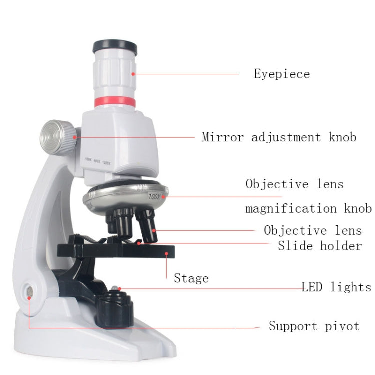 Educación temprana ciencia biológica 1200X microscopio ciencia y juguete educativo conjunto para niños, S, L