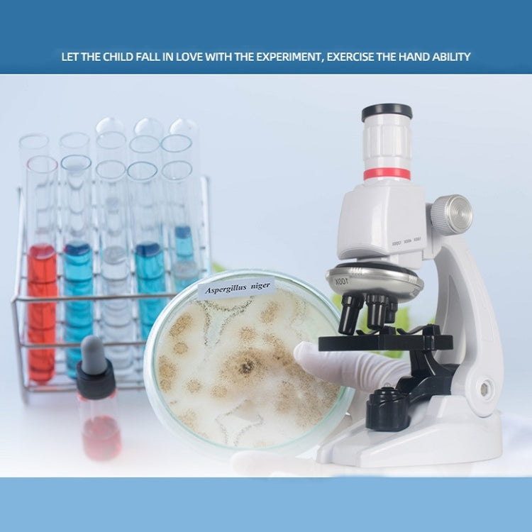 Educación temprana ciencia biológica 1200X microscopio ciencia y juguete educativo conjunto para niños, S, L