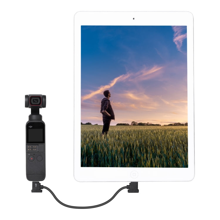 Sunnylife TY-X9304 adecuado para DJI Mavic Air 2S / DJI FPV gafas de vuelo V2 / Mavic Mini2 / Osmo Pocket 2 Cable para tableta y teléfono móvil, 15cm Type-C to 8 Pin Cable, 15cm Type-C to Micro USB  Cable, 15cm Type-C to Type-C Cable                   ...