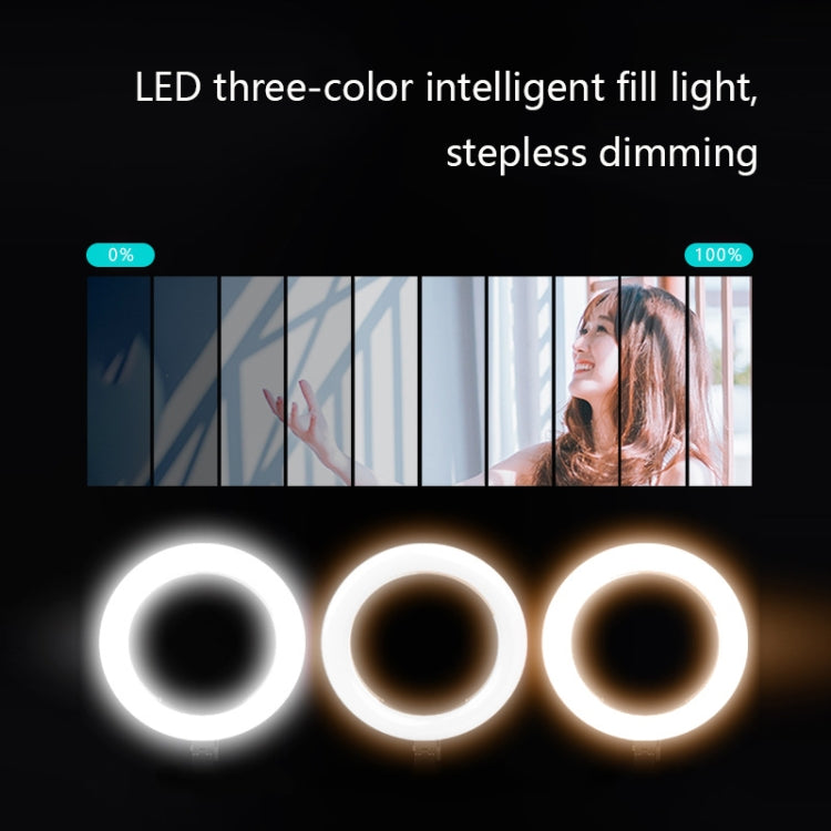 Luz de relleno LED con soporte en vivo para teléfono con soporte de fotografía multifunción de escritorio FP-10, especificación:, Desktop Bracket + Phone Clip, Desktop Bracket + Clip + Ring Lamp