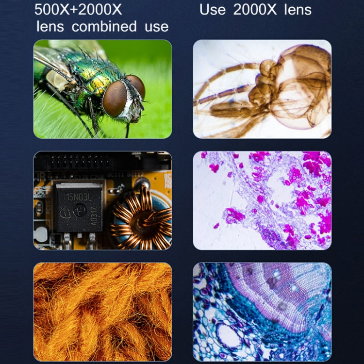 2000X WIFI Microscopio biológico de gran aumento USB HD Digital Lupa