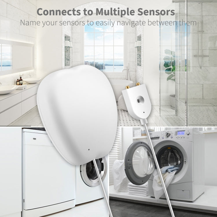 RSH-WL03 Tuya Alarma de nivel de agua inteligente WiFi Fuga de agua Detector remoto de inundación de agua