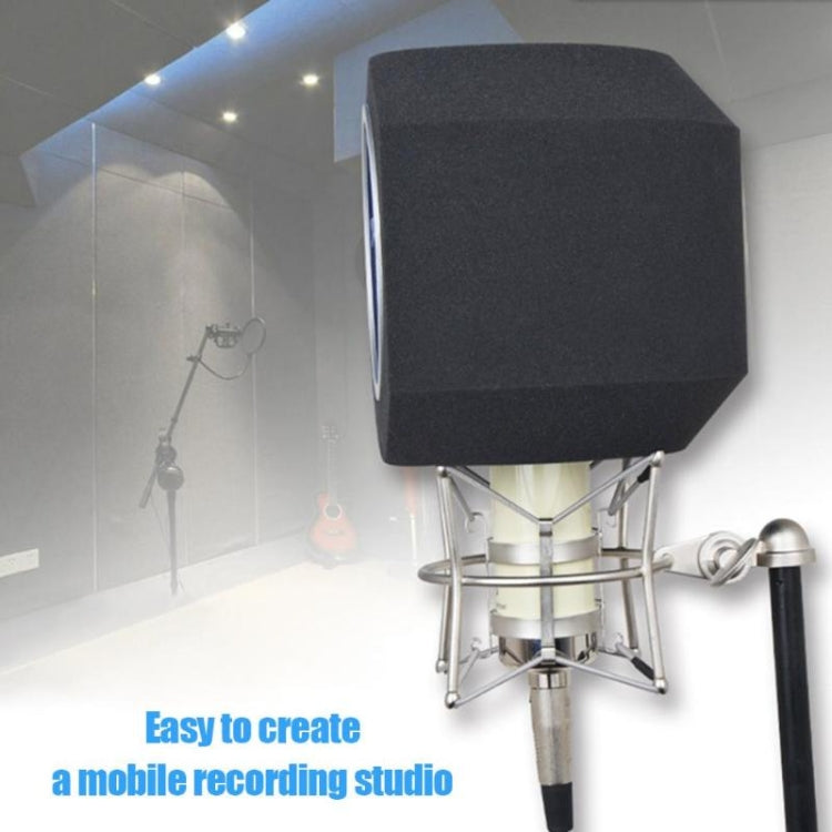 Alctron PF8 Studio Mic Pantalla Filtro acústico Micrófono de grabación Reducción de ruido Pantalla de viento