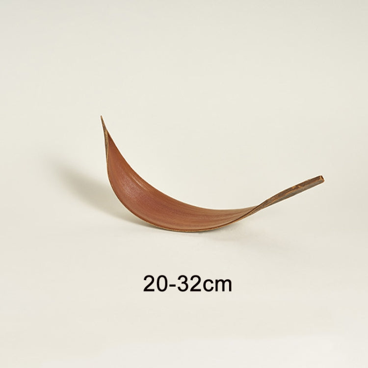Hojas de cacao, accesorios de tiro de plantas naturales, adornos de flores secas, 20-32 cm, 35-39 cm