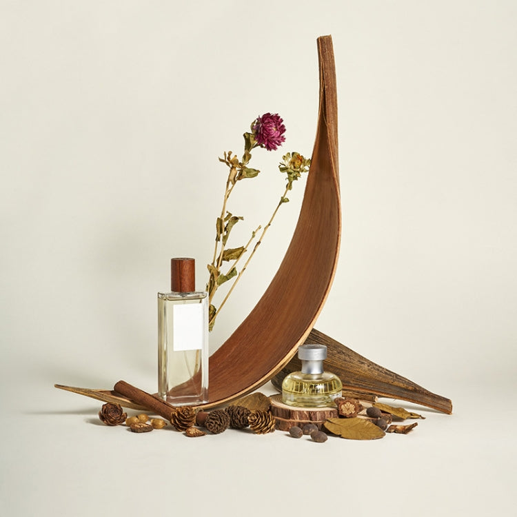 Hojas de cacao, accesorios de tiro de plantas naturales, adornos de flores secas, 20-32 cm, 35-39 cm