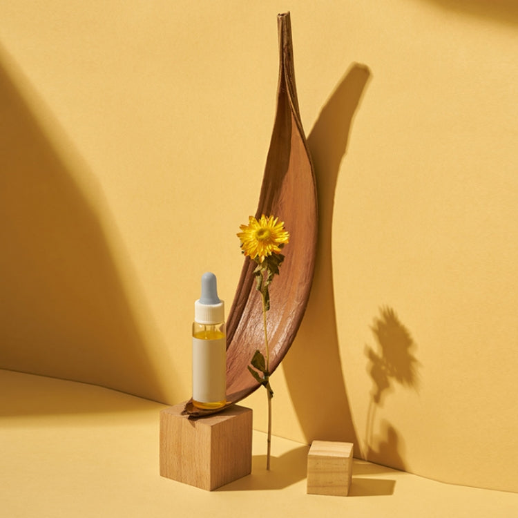 Hojas de cacao, accesorios de tiro de plantas naturales, adornos de flores secas, 20-32 cm, 35-39 cm