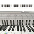 Tabla de comparación de papel de práctica de piano de teclado de 88 teclas Tabla de comparación de práctica de digitación, White