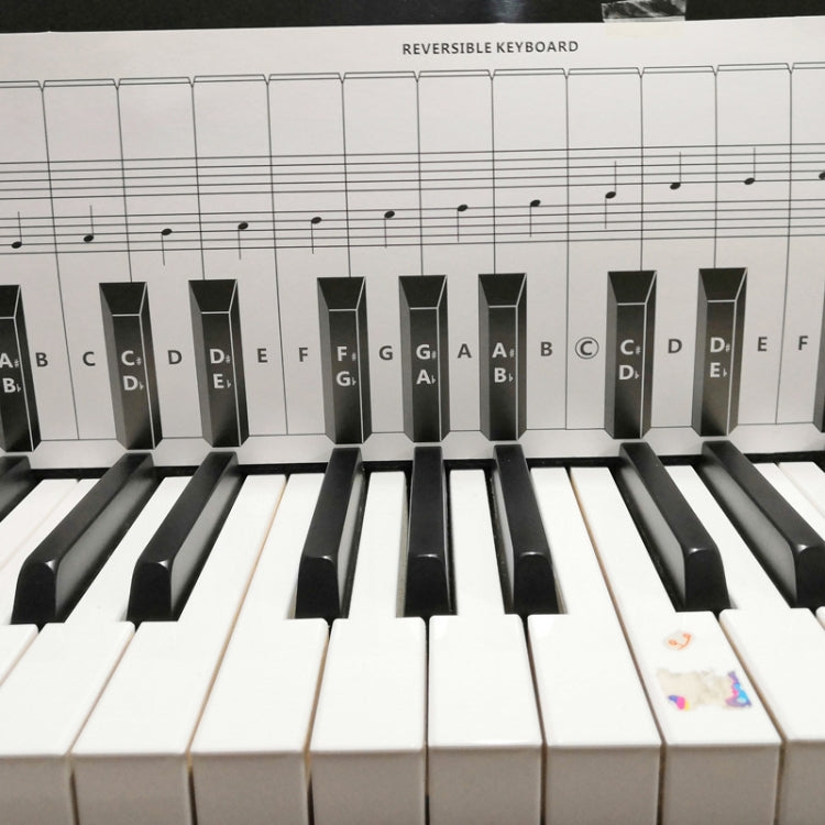 Tabla de comparación de papel de práctica de piano de teclado de 88 teclas Tabla de comparación de práctica de digitación, White