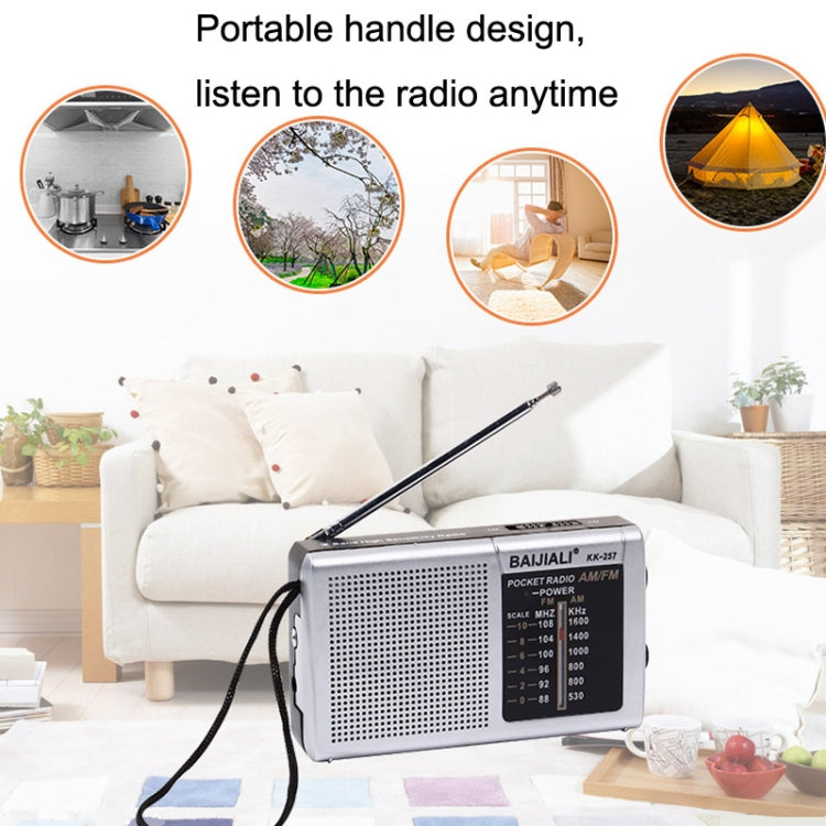 BAIJIALI BJL228 Retro portátil de dos bandas FM AM Radio altavoz incorporado, BJL228 White, BJL228 Black