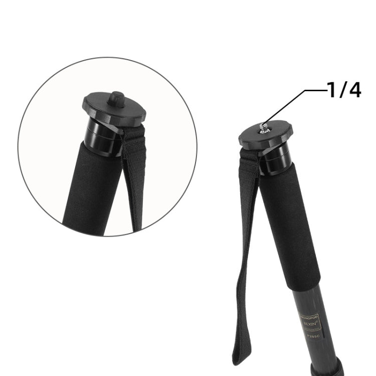 10 piezas BEXIN G-02 Cámara 1/4 pulgadas Tapa de protección de tornillo para trípode Monopod Tornillo, G-02