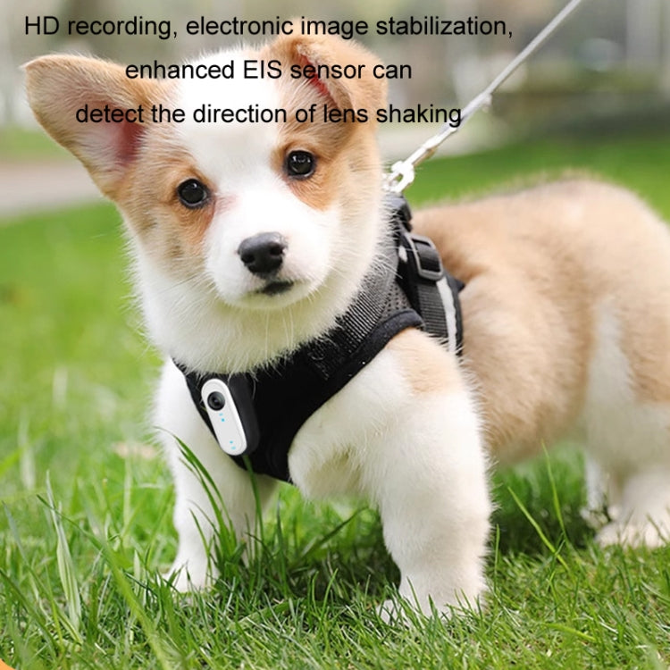 Cámara deportiva para ciclismo con grabadora portátil para mascotas para exteriores de alta definición, No TF Card, With 32G TF Card, With 64G TF Card, With 128G TF Card, With Silicone Collar, With Silicone Collar+32G TF Card