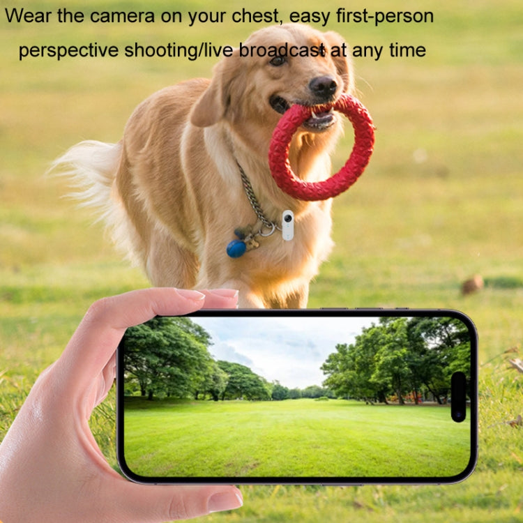 Cámara deportiva para ciclismo con grabadora portátil para mascotas para exteriores de alta definición, No TF Card, With 32G TF Card, With 64G TF Card, With 128G TF Card, With Silicone Collar, With Silicone Collar+32G TF Card