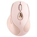 Ratón inalámbrico Inphic DR801 2,4 G + Bluetooth 5.0/4.0 USB Tri-Mode Silencioso Recargable Ratón para juegos para niñas Oficina Hogar