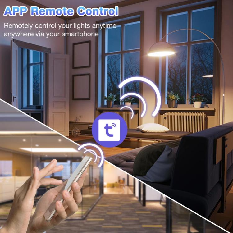 El interruptor inteligente Tuya WiFi es compatible con el control por voz de Amazon ALEXA/Google HOME, 10A, 20A, 30A