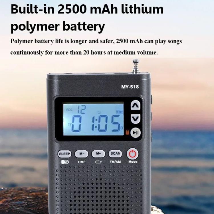Radio transmisora Bluetooth portátil de 2 bandas FM/AM RIZFLY MY518