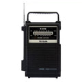 Radio bibanda TECSUN R-206 FM/MW, R-206