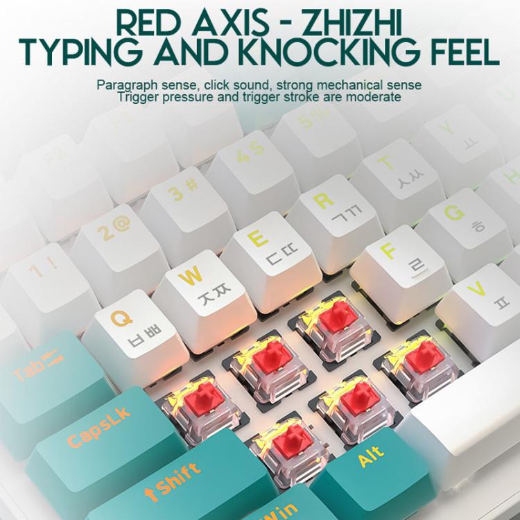 Teclado mecánico con cable ZIYOULANG K3 coreano de 1,5 m, Microglow Hot-Swap Red Switch, Aqua Green Hot-Swap Blue Switch, Welding Switch Aqua Green Red Switch, Welding Switch Bee Red Switch, Welding Switch Microglow Red Switch