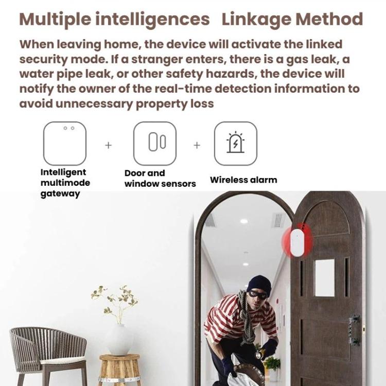 Sensor inteligente Zigbee 2 en 1 para puertas y ventanas, compatible con Home Assistant., ZG-102Z