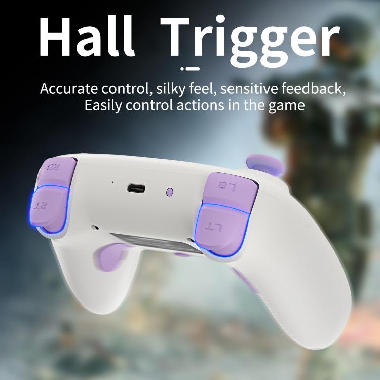 Controlador de juegos multiplataforma ANBERNIC RGP01 para PC/Switch/Steam con joystick y gatillos con efecto Hall, conectividad de 3 modos, RGB, White, Black, Purple, With Receiver White, With Receiver Black, With Receiver Purple