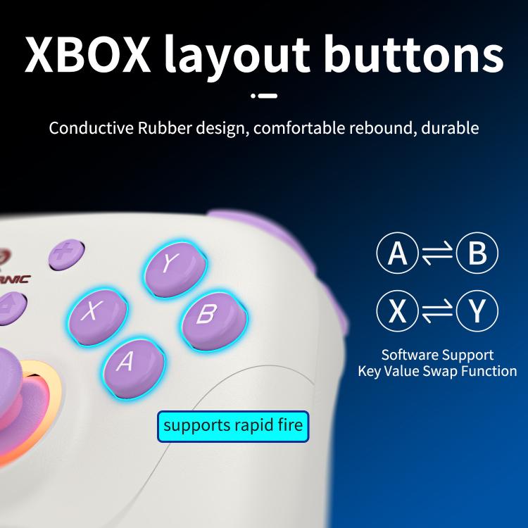 Controlador de juegos multiplataforma ANBERNIC RGP01 para PC/Switch/Steam con joystick y gatillos con efecto Hall, conectividad de 3 modos, RGB, White, Black, Purple, With Receiver White, With Receiver Black, With Receiver Purple