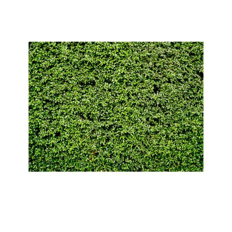Tela de fondo de fotografía de fiesta de cumpleaños de pared de hojas verdes de 2,1 m x 1,5 m